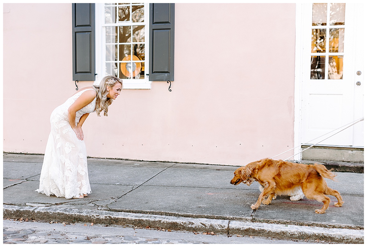 bride and dog first looj